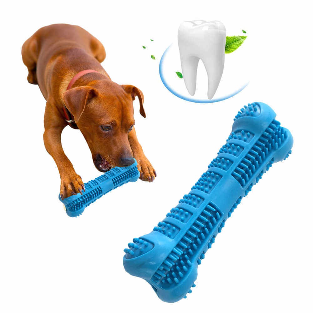 199 đồ chơi cho cún con ngứa răng gặm cực khoái