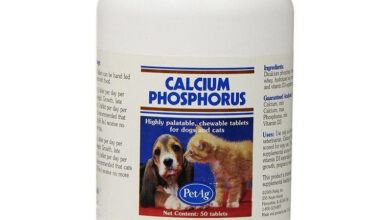 canxi cho cho meo calcium phosphorus petag 418817