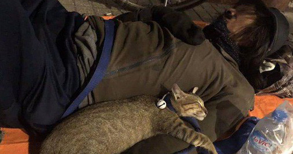 Chú mèo con nằm ngủ ngon lành trong vòng tay người đàn ông lang thang trên vỉa hè khiến nhiều người yêu thích