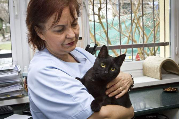 veterinary nurse cat hugs shelter animals radamenes bydgoszcz poland 2 1