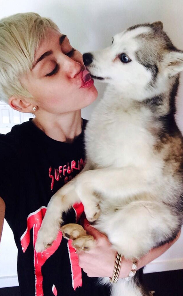 Xúc động tình cảm của Miley Cyrus với chú chó cưng