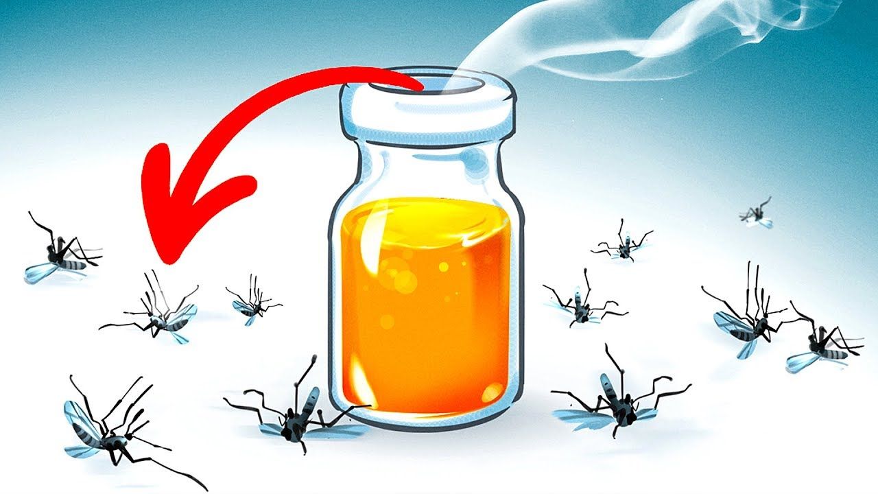 10 cách để xua đuổi muỗi khỏi sân vườn của bạn